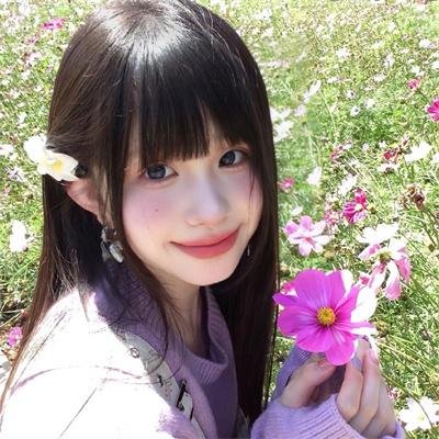 完美伴侣2025